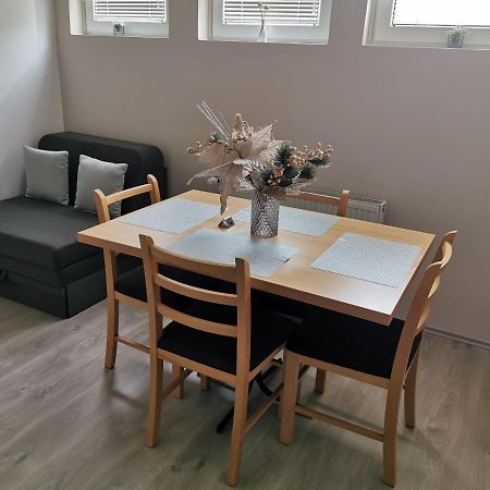 Apartmani Milica Kruševac Zewnętrze zdjęcie