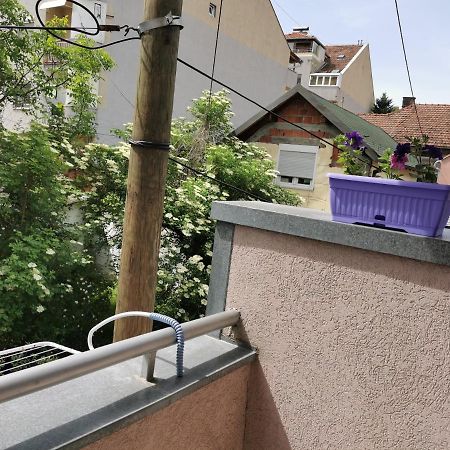 Apartmani Milica Kruševac Zewnętrze zdjęcie
