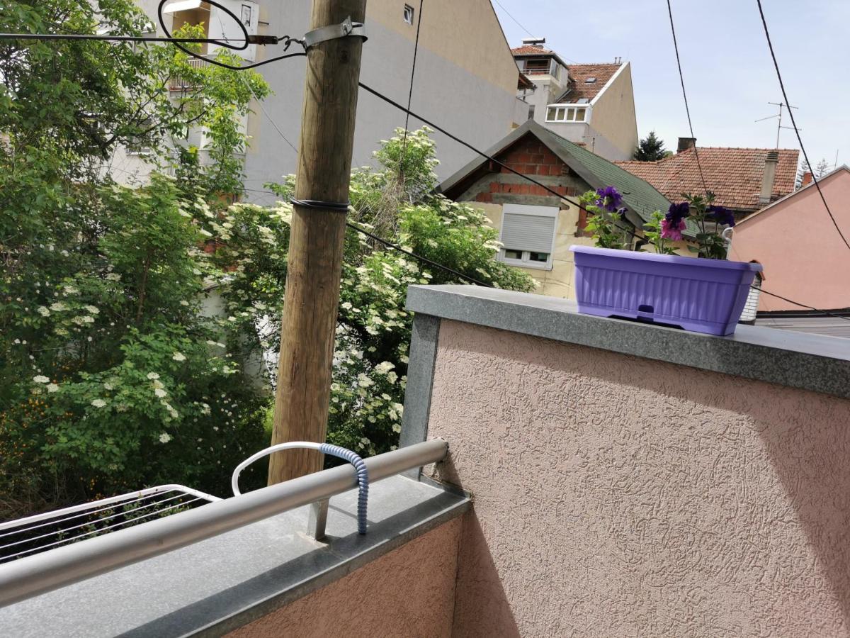 Apartmani Milica Kruševac Zewnętrze zdjęcie