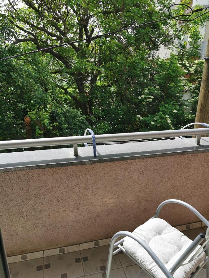 Apartmani Milica Kruševac Zewnętrze zdjęcie
